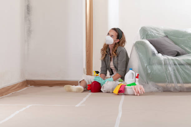 Reliable Mold Remediation contractor in Lake Elmo, MN by WQB Mold Removal